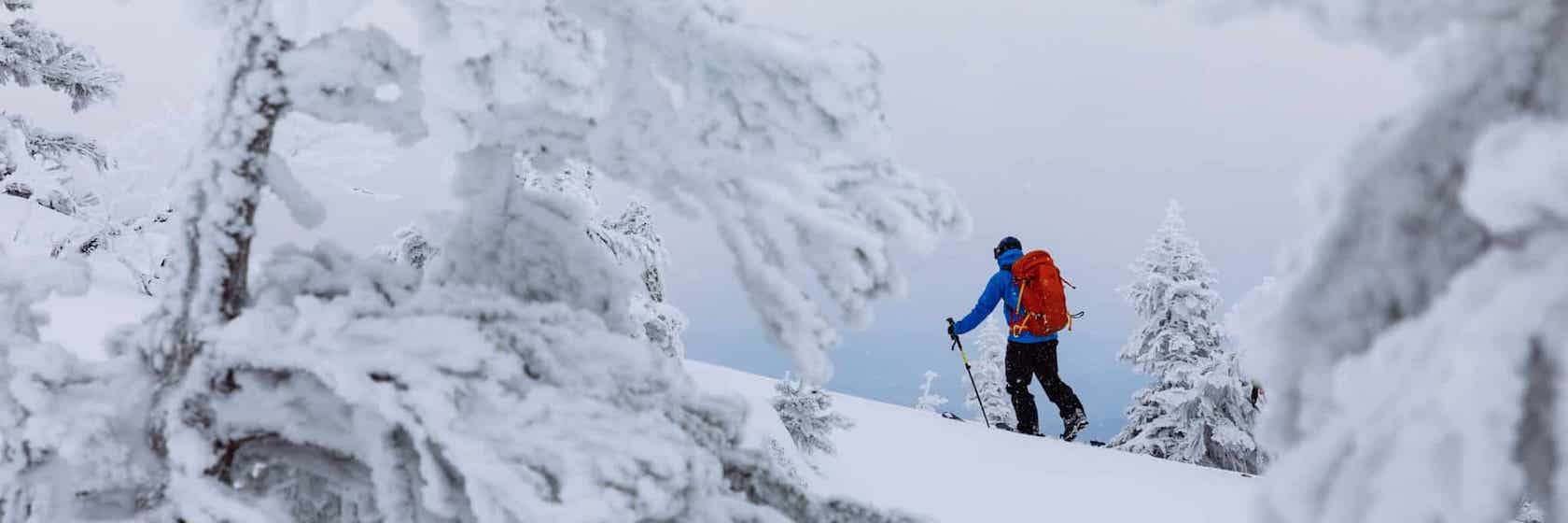 Upplev Japan på ett sätt få andra gör